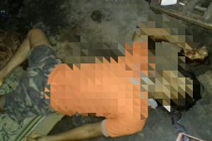 IMG_20200126_054807-1-600x400