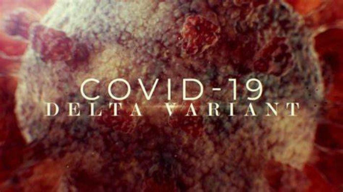 covid-19-varian-delta-15721