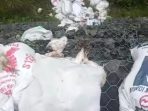 foto pembuangan bagkai ayam daging