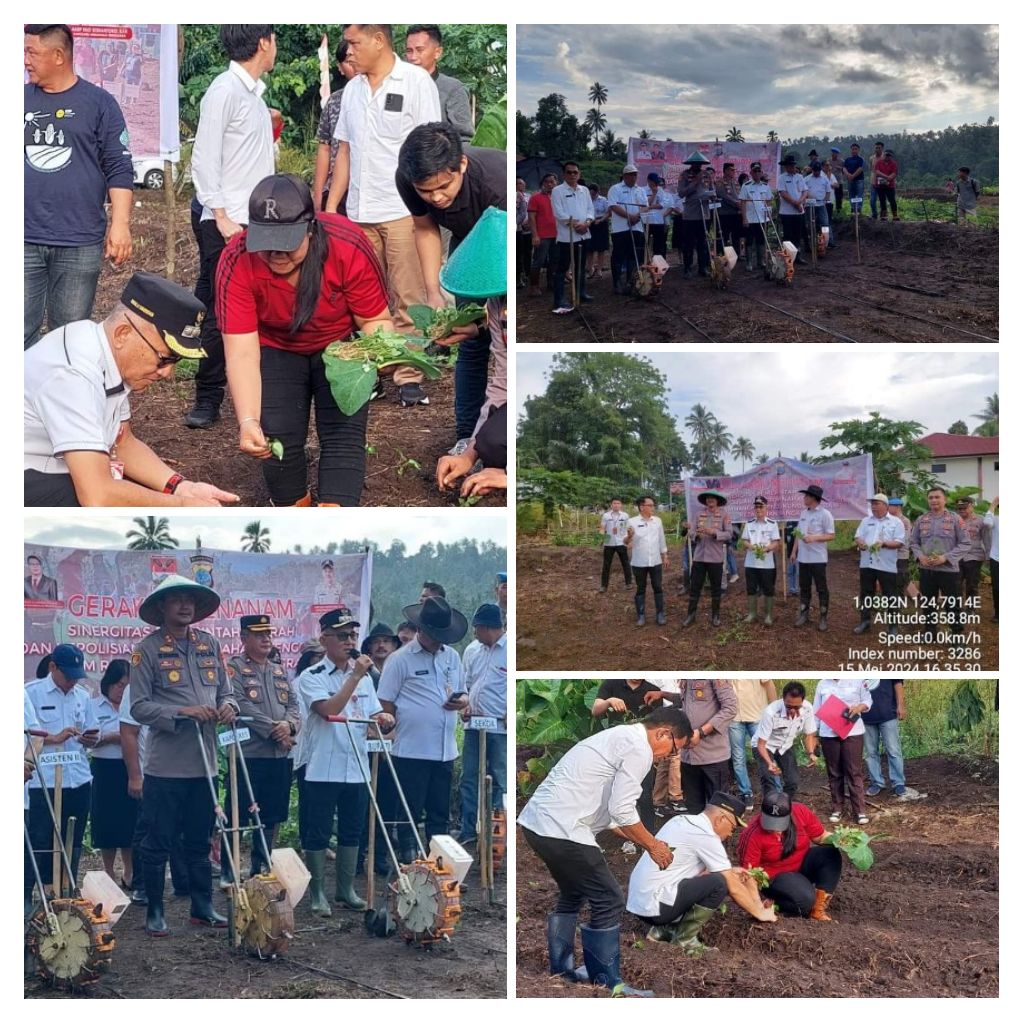 foto menanam pemkab Mitra bersama Polres Mitra