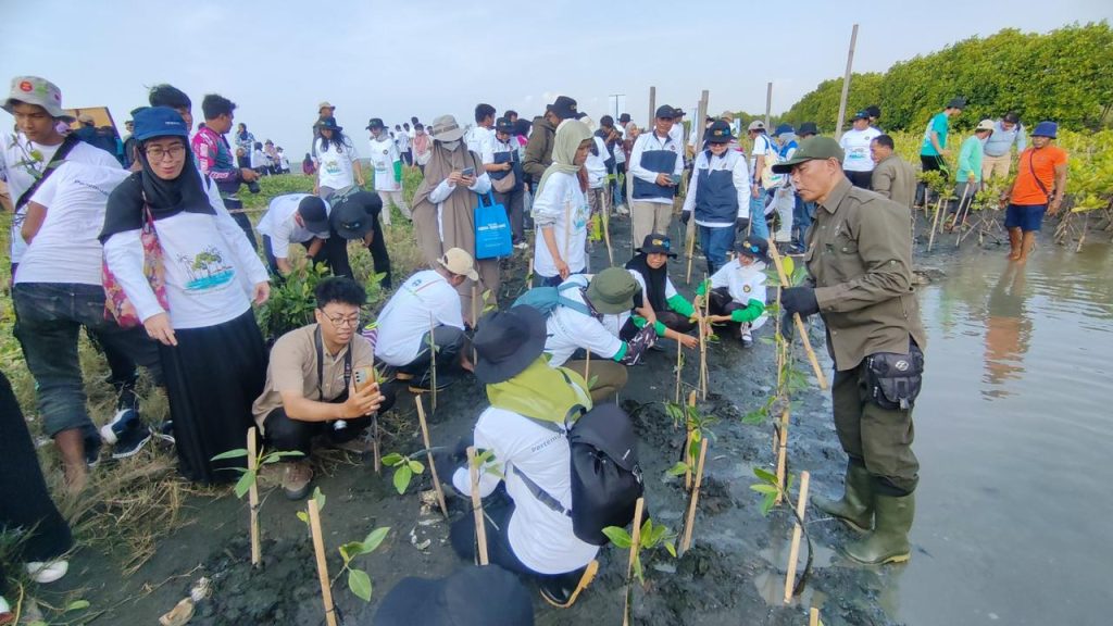 Tanam-Mangrove-Pantai-Tirang-Semarang