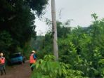 IMG-20250711-WA0008-696x412-1