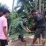 IMG-20260505-WA0063