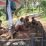 IMG-20260518-WA0095