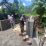 IMG-20260519-WA0040