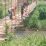 IMG-20260526-WA0009
