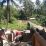 IMG-20260609-WA0012
